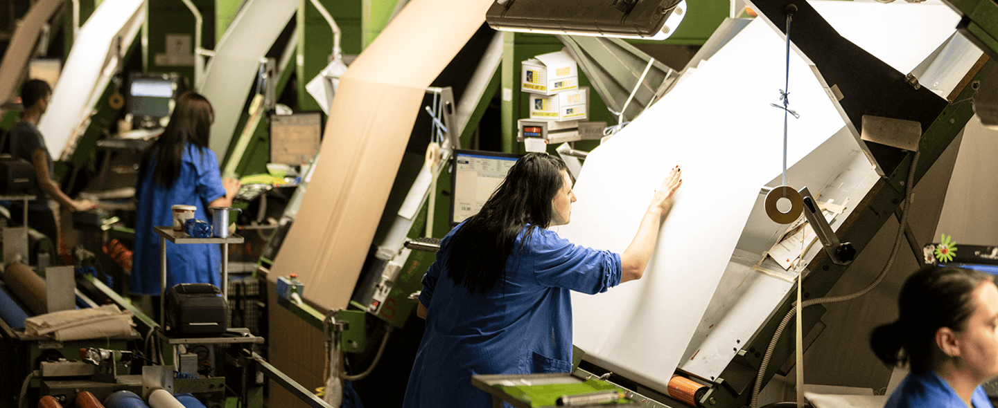 Meraviglioso Velluto a Coste Firmato Marzotto Tessuti