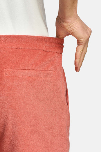 Bricks * The Short Terries