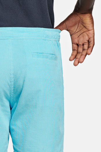 Aquaramas * The Short Cords