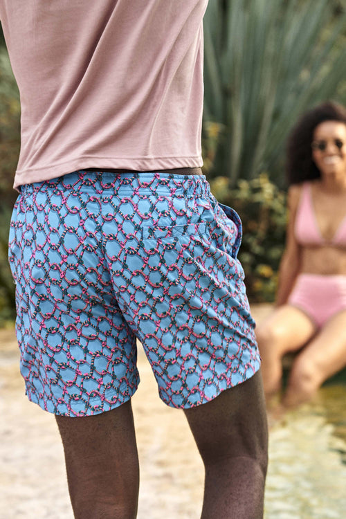 Hypnotics * The Print Swims