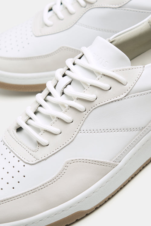 Baristas * The Classic Sneakers