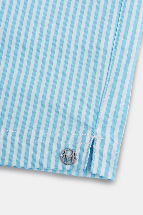 Aristons * The Seersucker Swims